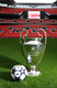 Мяч финала Лиги чемпионов 2012/2013