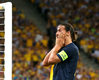 Украина — Швеция 2:1