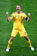 Украина — Швеция 2:1