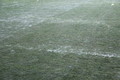 Заря — Манчестер Юнайтед 0:2