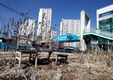 Пхёнчхан в ожидании Олимпиады