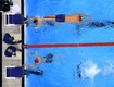 Золото американцев в мужской и женской эстафетах 4x100