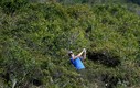 Лучшие фотографии 14-го дня Олимпиады