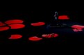 Церемония открытия Олимпиады-2020